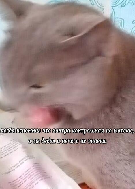 У всех же было?)