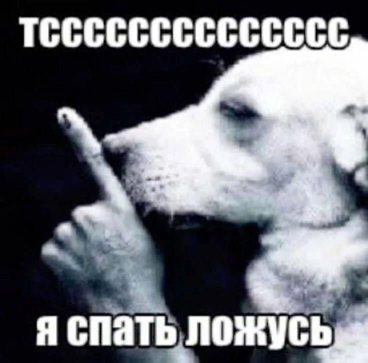 Поставка новых добрых мемасиков сегодня утром
