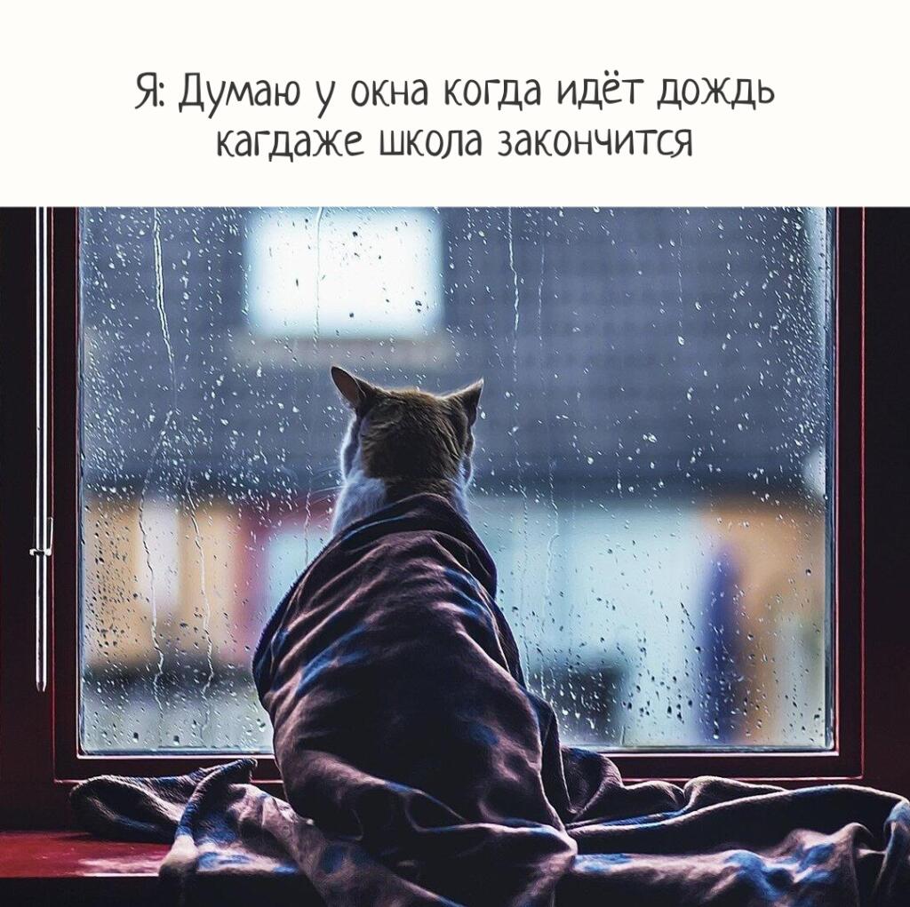 Я: Думаю у окна когда идёт дождь
Когда закончится школа