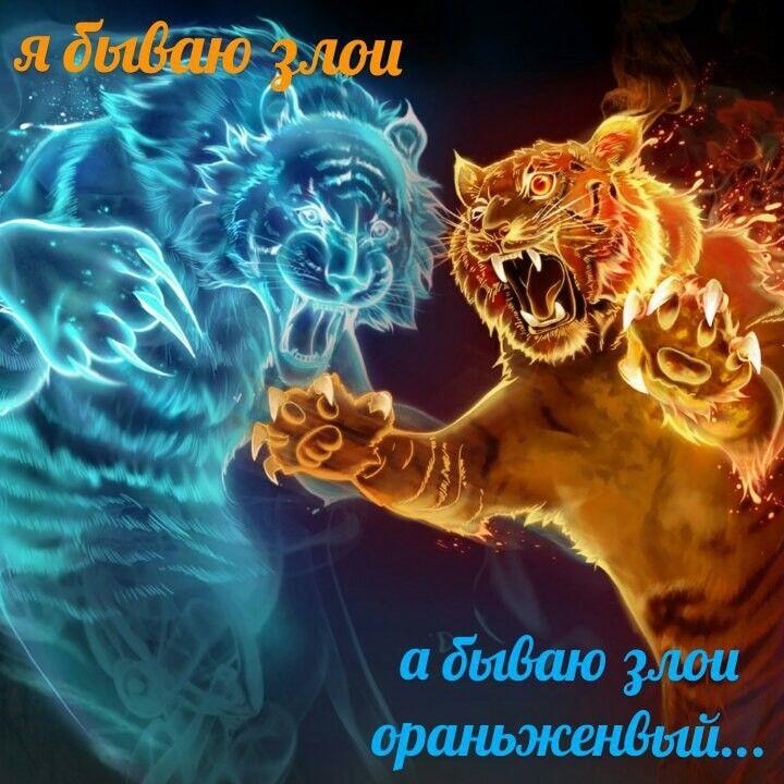 Слева голубой призрак тигра, справа злой рыжий тигр, надпись: я бываю злой, а бываю злой оранжевый