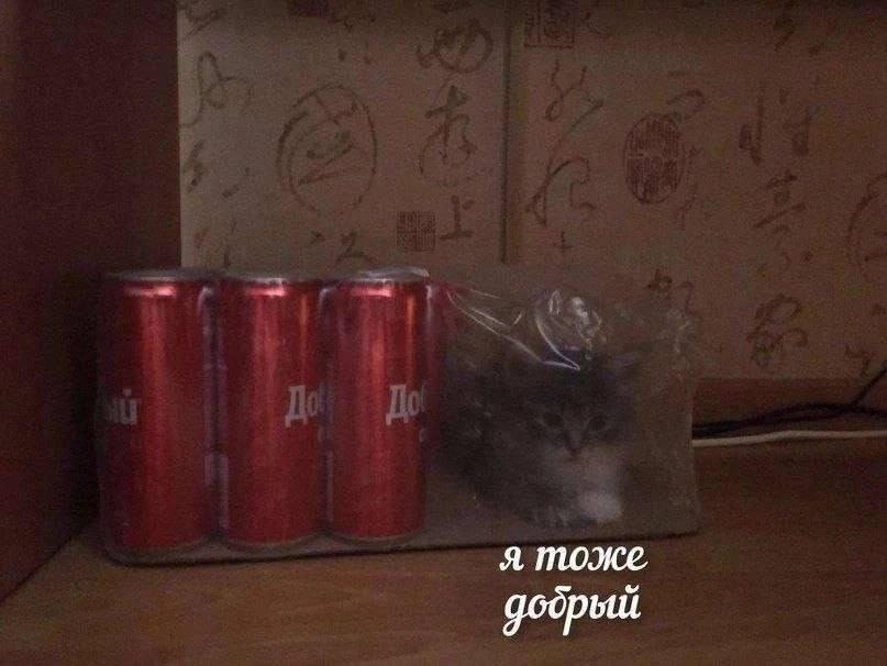 Мем от Милый Котяра