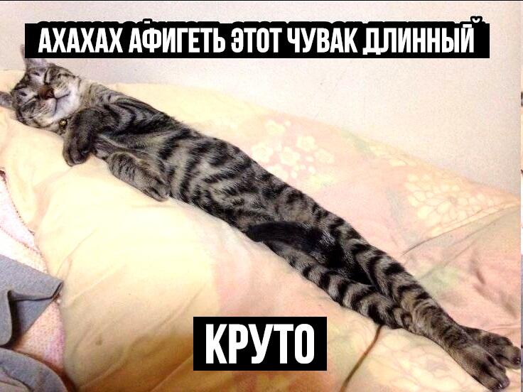 Мем от Алексей Сова