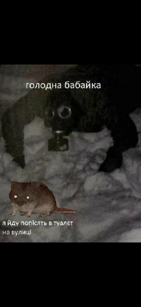 Тёмная комната, в которой на полу сидит крыса с горящими глазами, а сверху нависает огромная тень. Надпись: голодная бабайка я йду попісять в туалет на вулиці