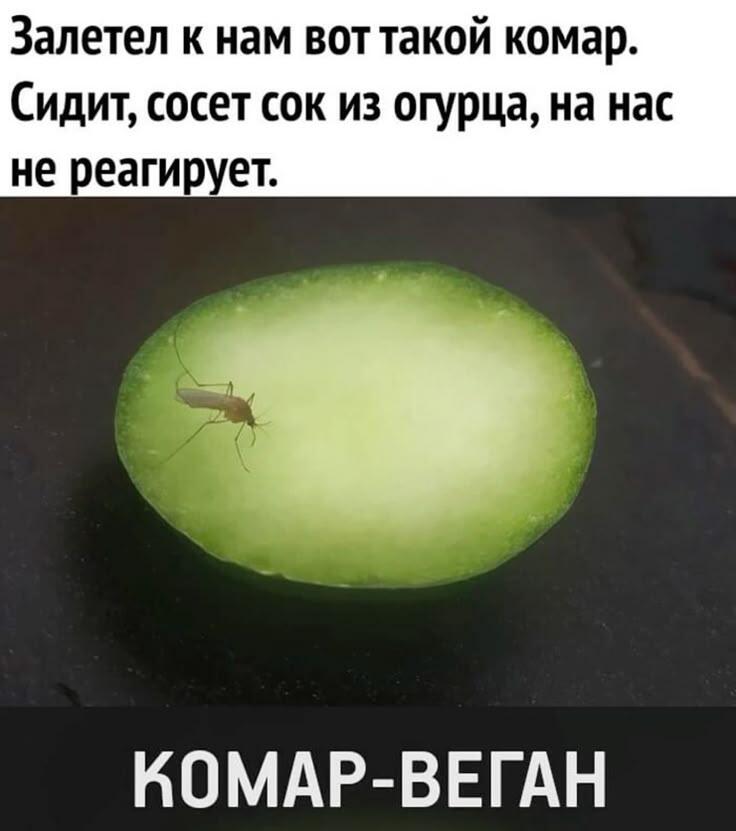 Мем без подписи