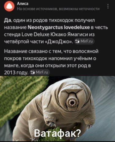 Да это же.... ДЖО ДЖО РЕФЕРЕНС