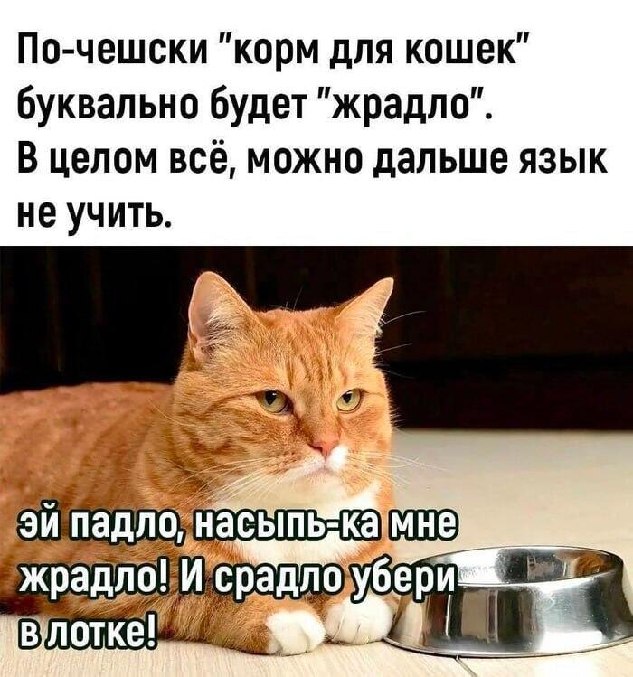 Шедевральный язык! Для утра понедельника - самое то