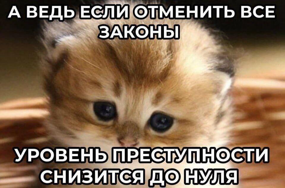 Мем без подписи