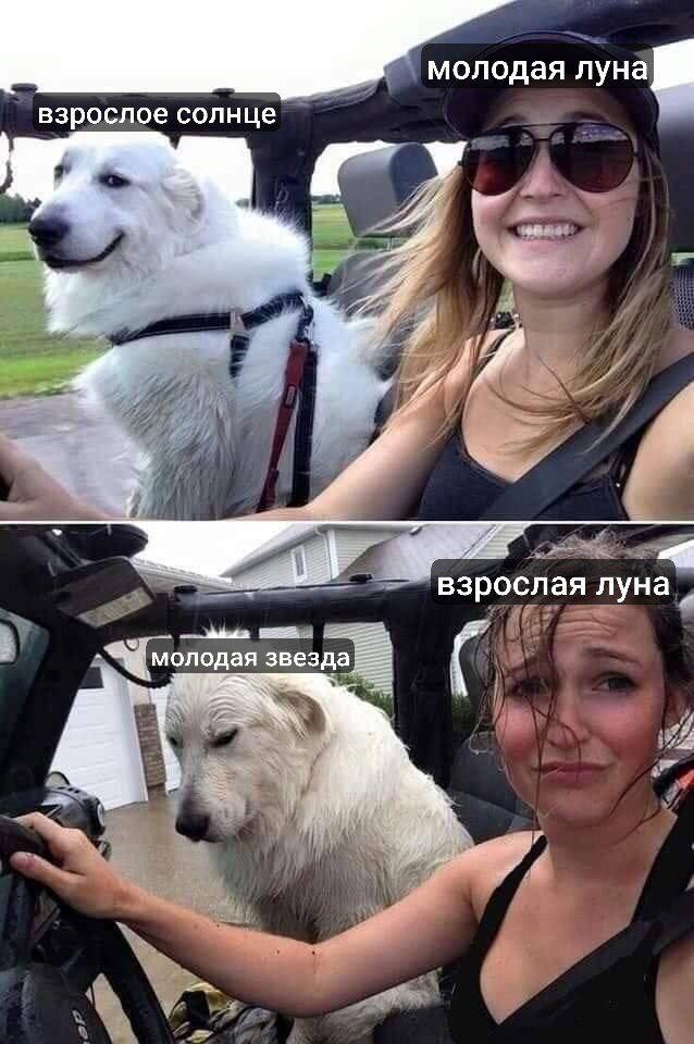 обещаю, когда в оркестре появится звезда, мы будем с ней выглядеть име...