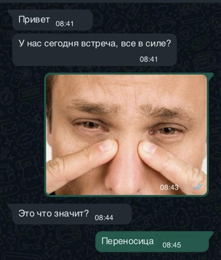 Переписка в мессенджере с фото плачущего человека и ответом про переносицу