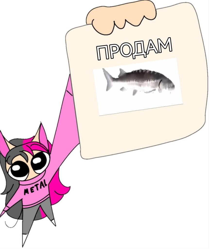 У Кики курсе вы новое предложение для вас! @Kiki_cat
