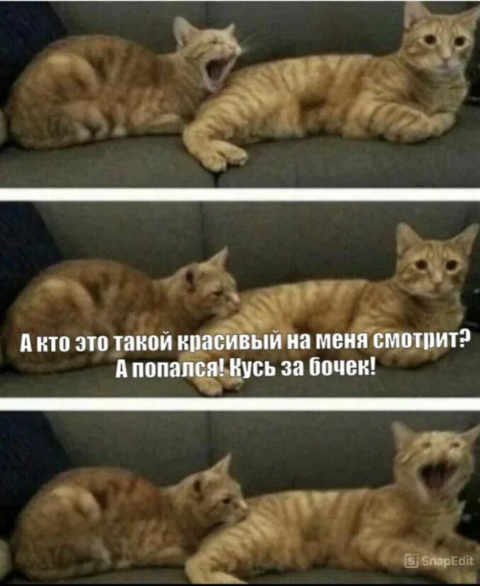 Аааааа!!!!!