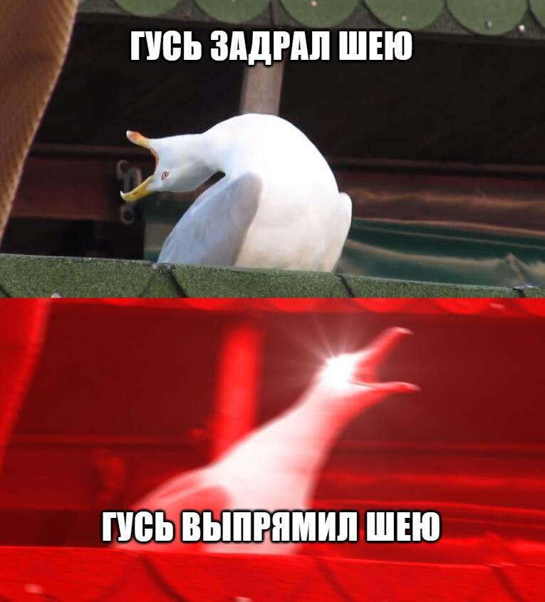 Топ 10 упражнений и шея болеть не будет