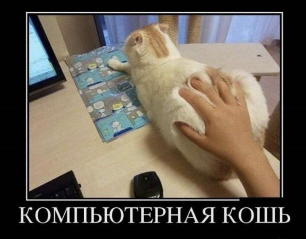 Мем от Сat_254