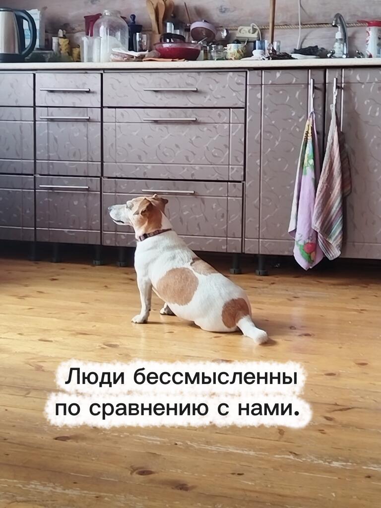 Если вы это видите то мемозг все-же отправил это после нескольких моих попыток