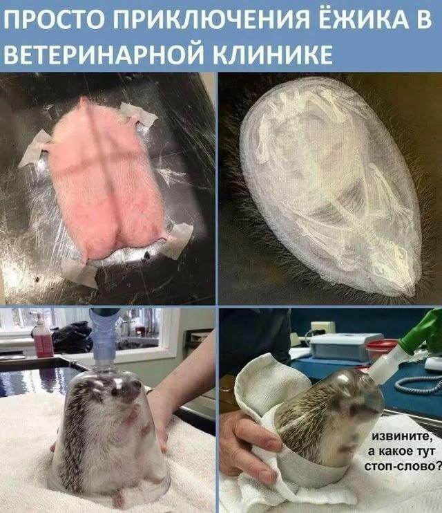 Мем без подписи