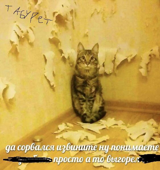 я после дз
