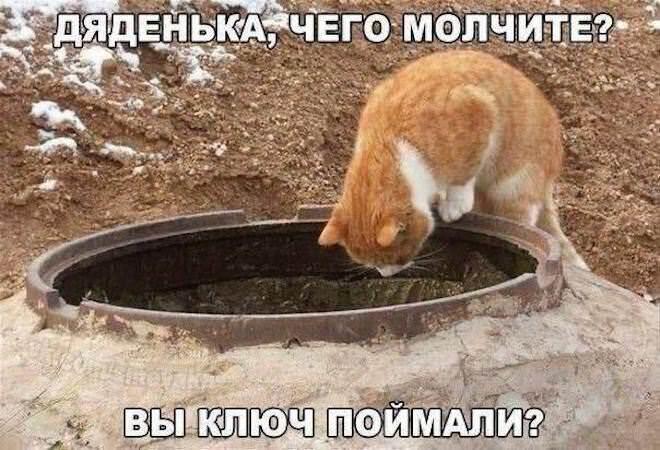 Мем без подписи