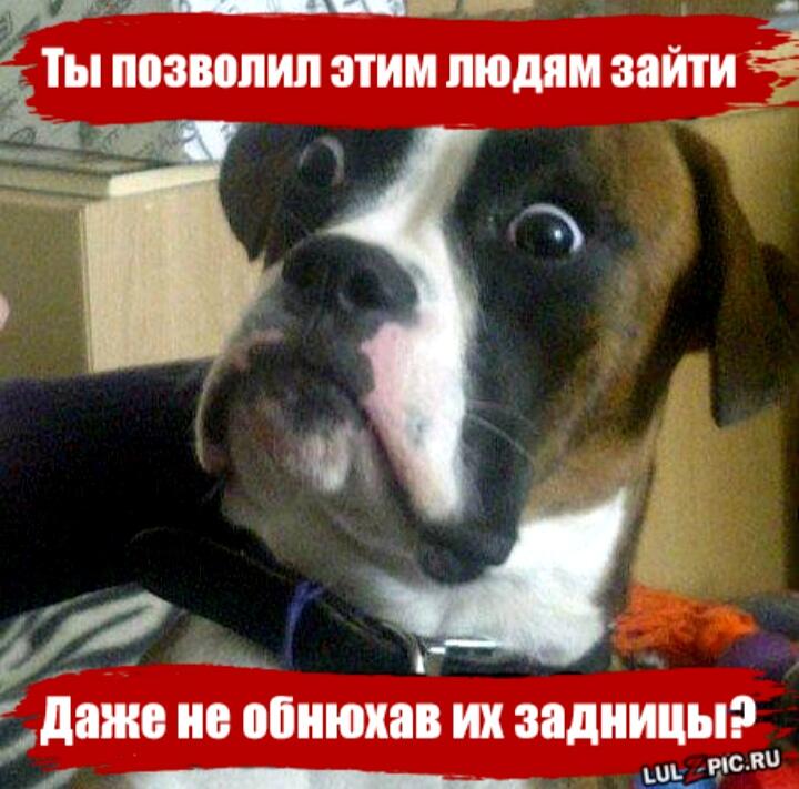 Он удивлён.
