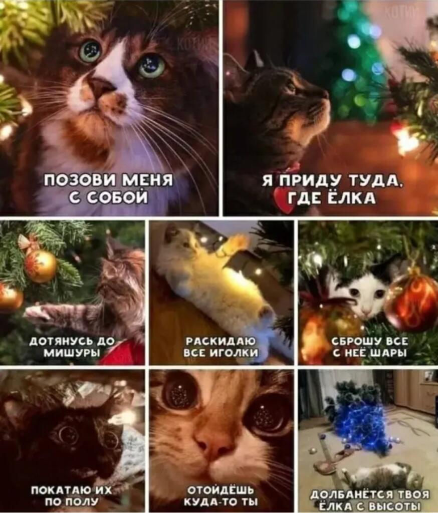Легендарные новогодние мемы, что гуляют по ленте Мемозга каждый год. П...