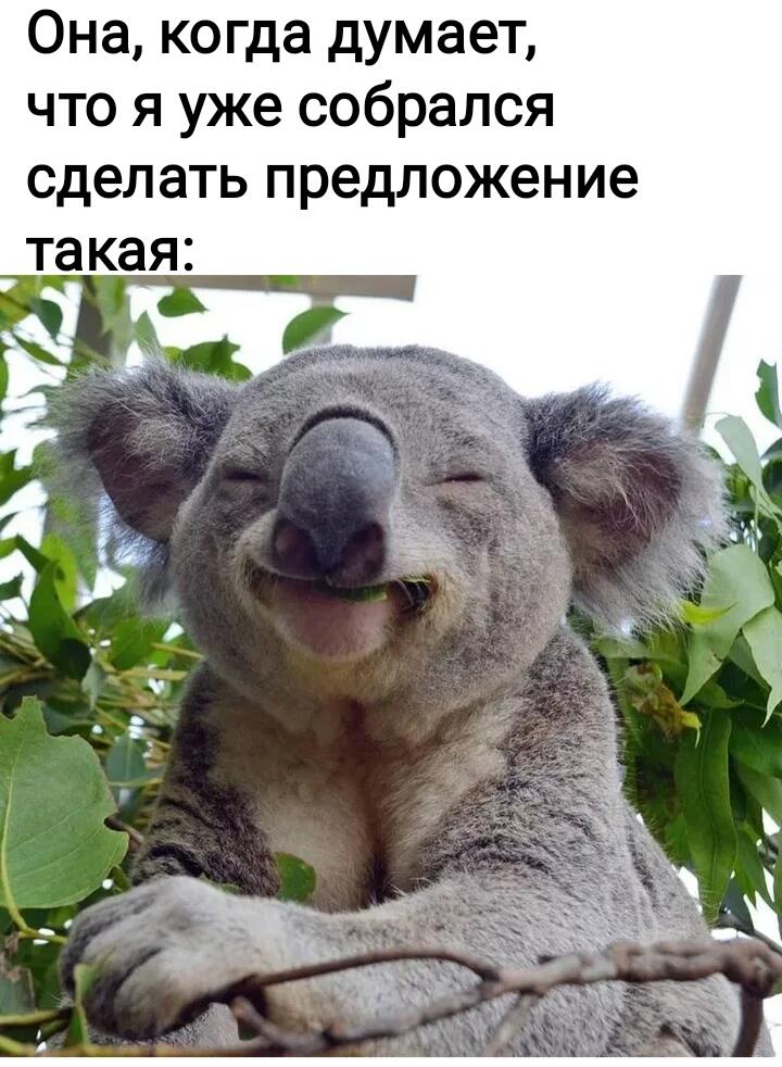 Мем от Lahma