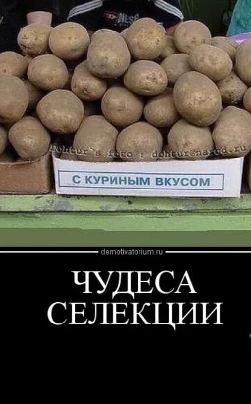 Меджик