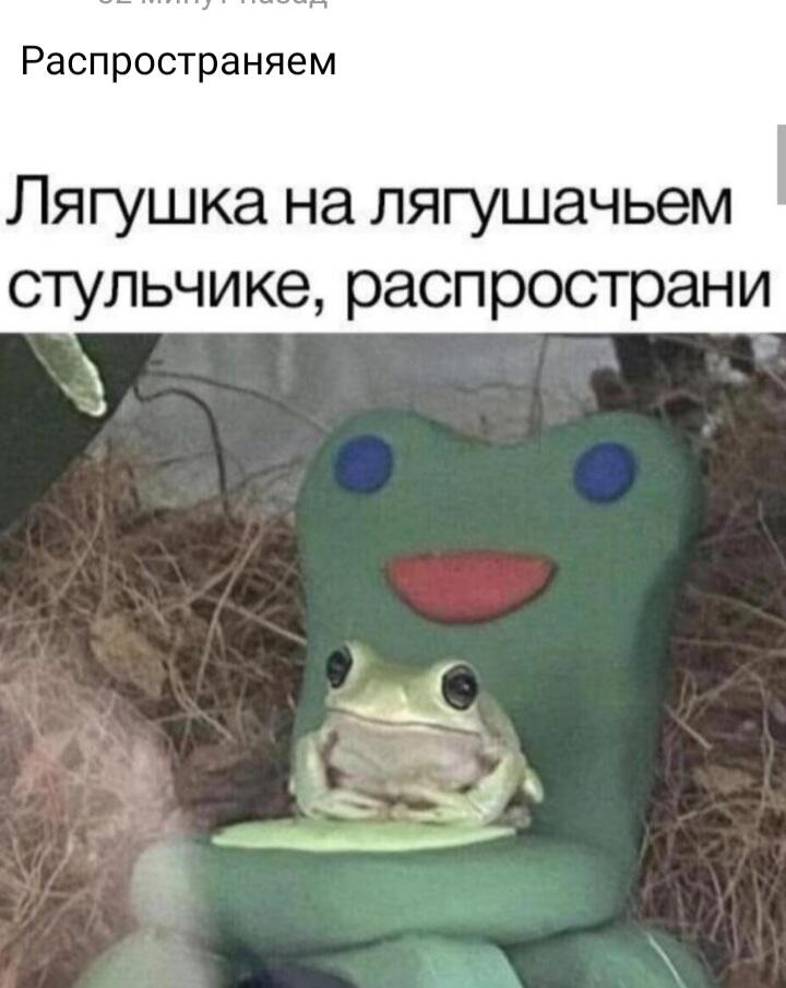 Распростроняю