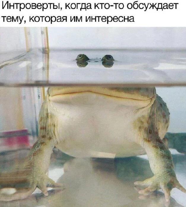 Со средой.