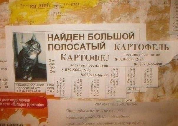 Кому нужен?
