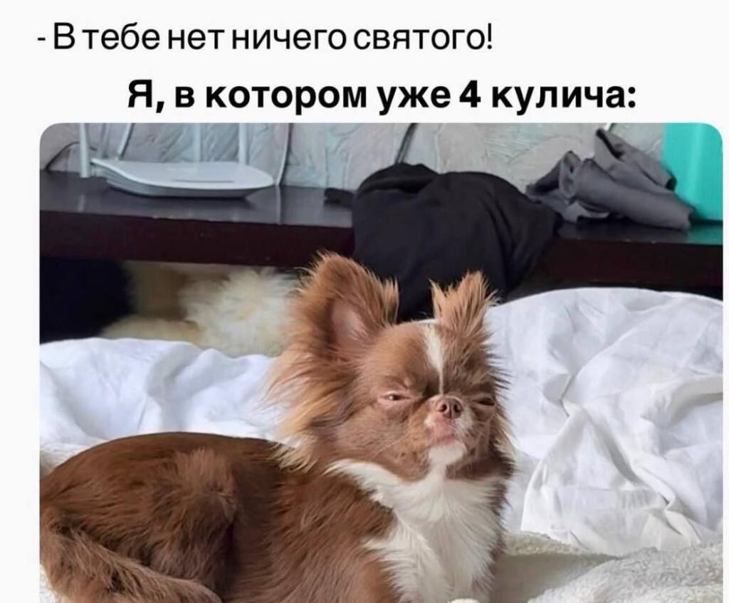 Мем без подписи