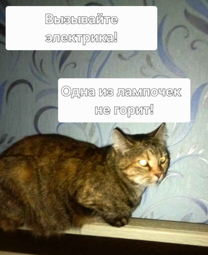 Мем от Максим Котович