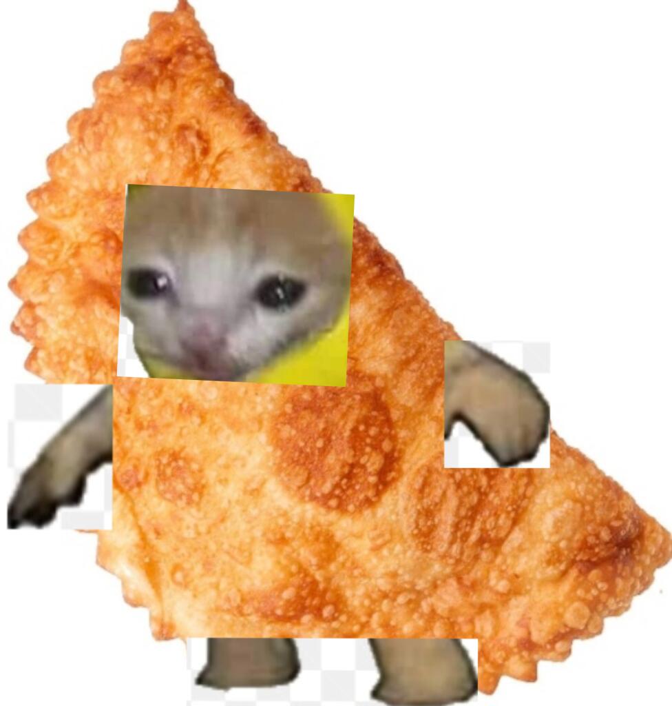 Кот чебурек:)))