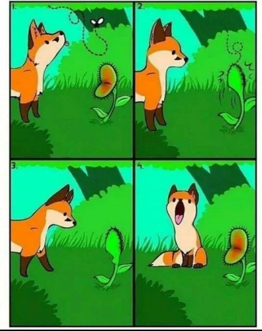 Милого лисика в ленту