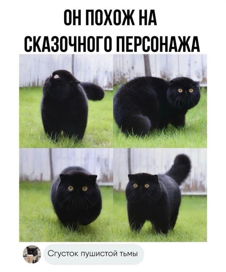 Мем без подписи