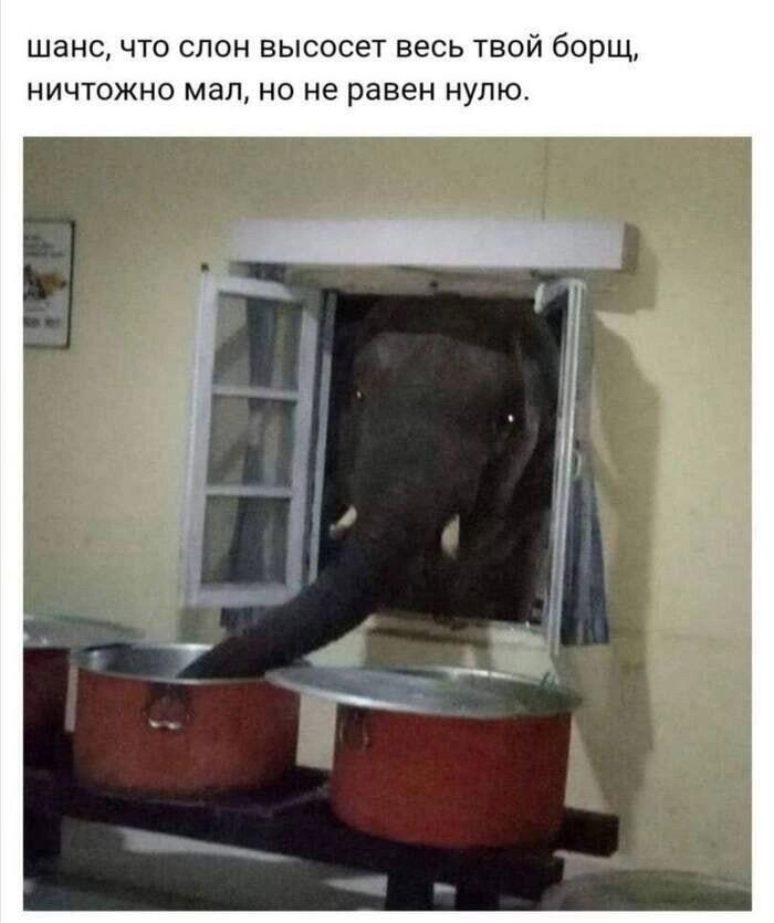 Мем без подписи