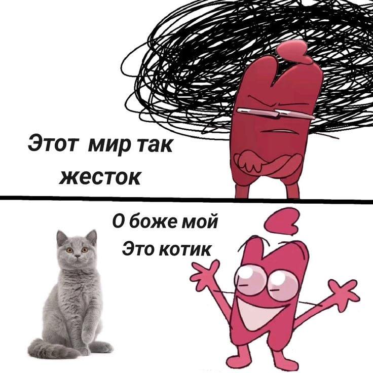 Мем без подписи