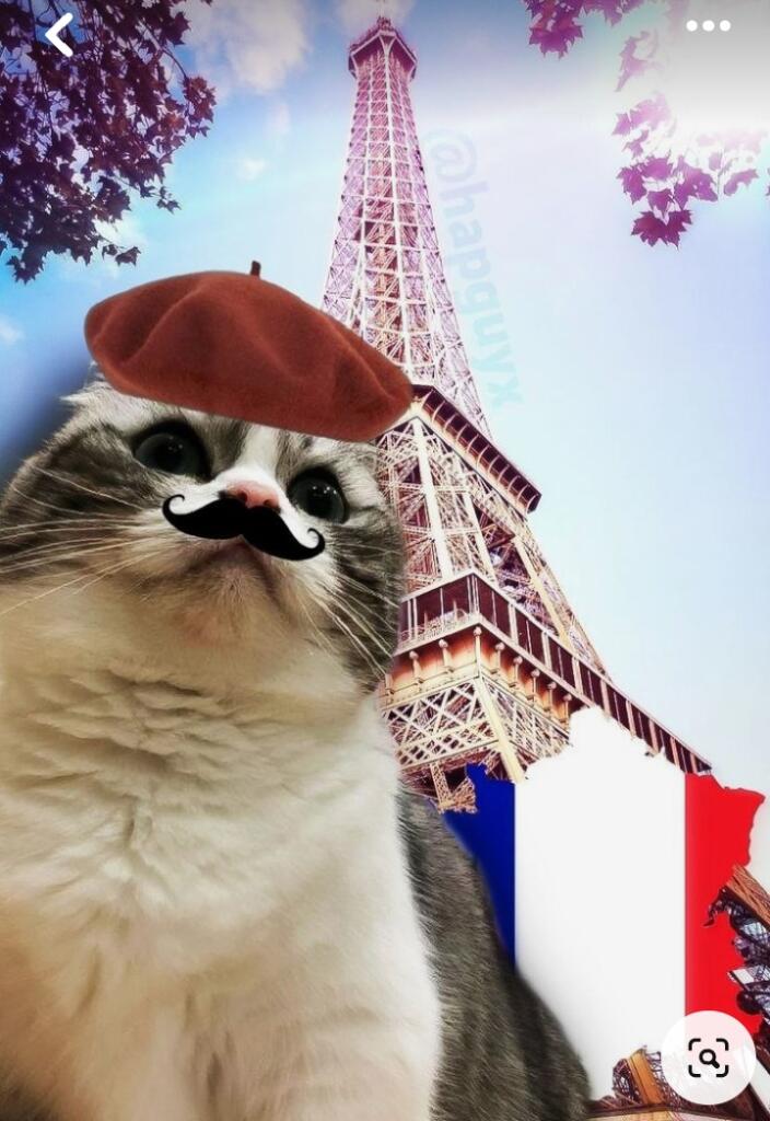 Вот вам франсуская камару