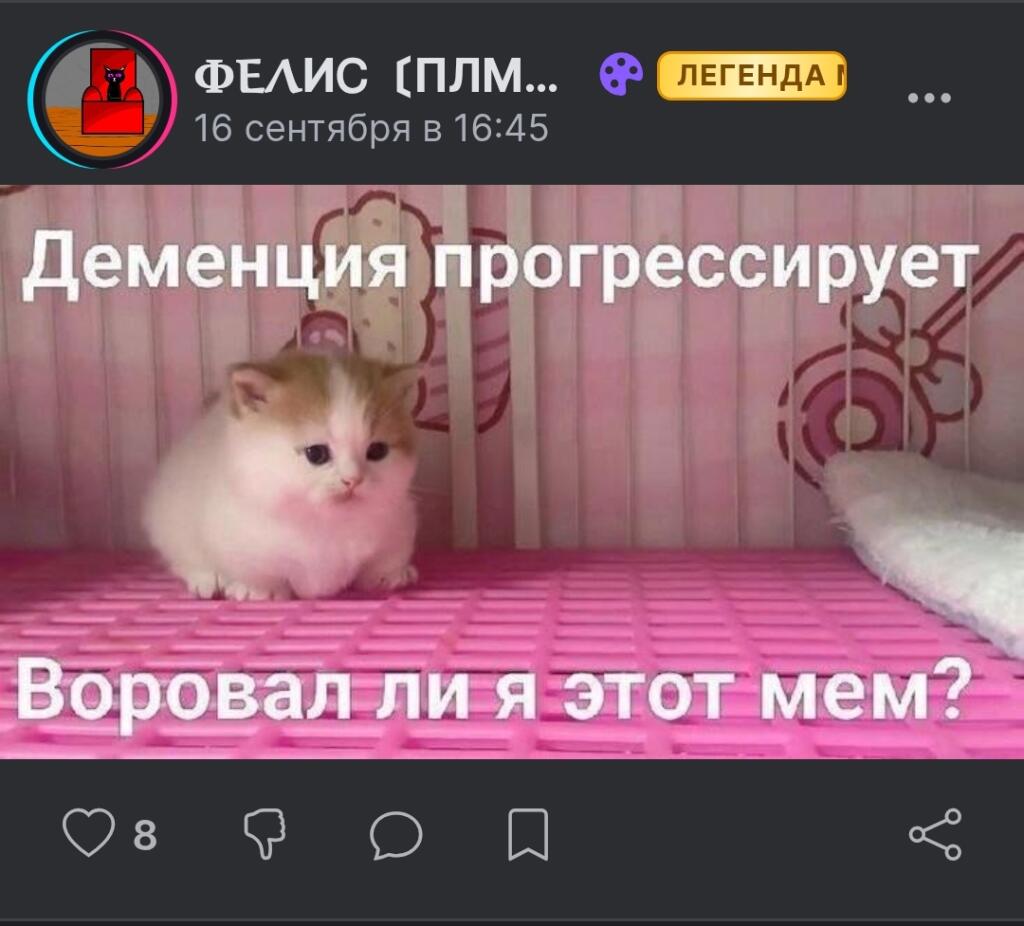 Милый пушистый кот сидит в розовой клетке, сверху надпись «Деменция прогрессирует», снизу «Воровал ли я этот мем?