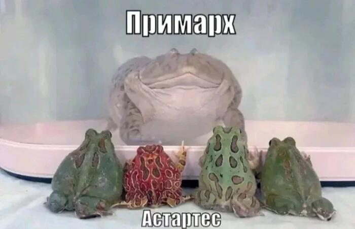 Со средой !