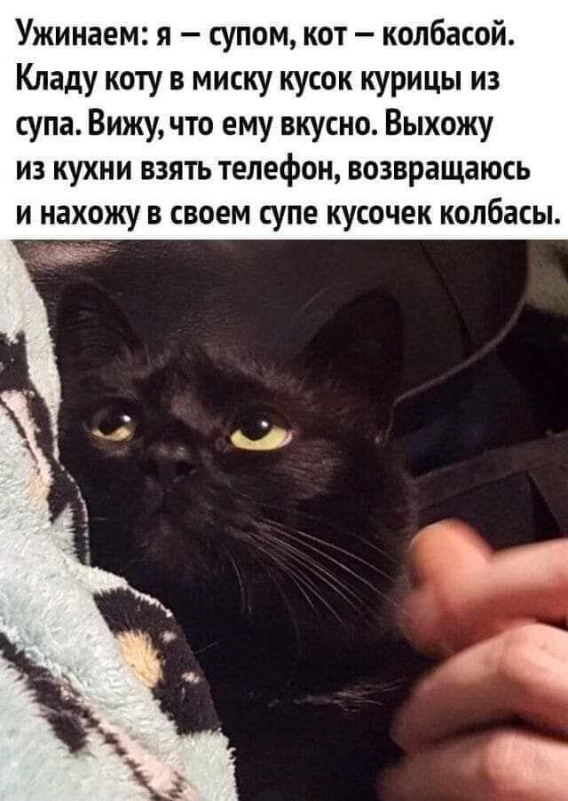 О, фига се, на этом канале, с сайтом про мемы оказывается выкладываются мемы!