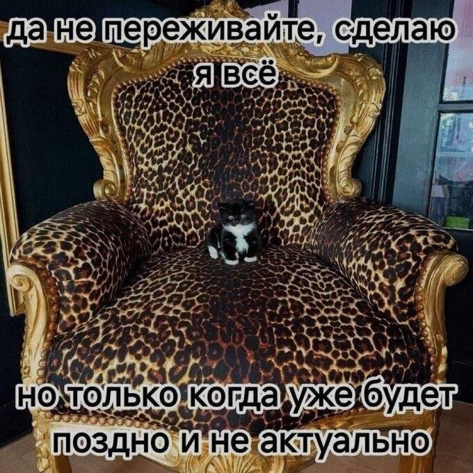 Мем без подписи