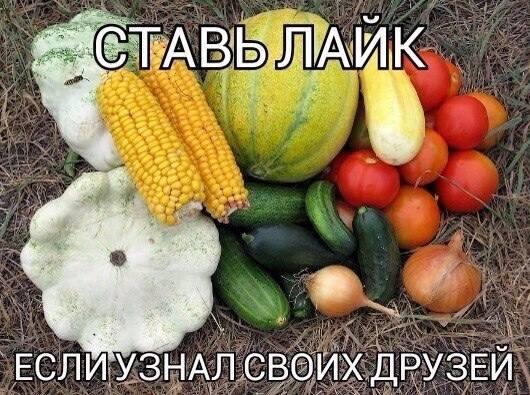 Мем без подписи