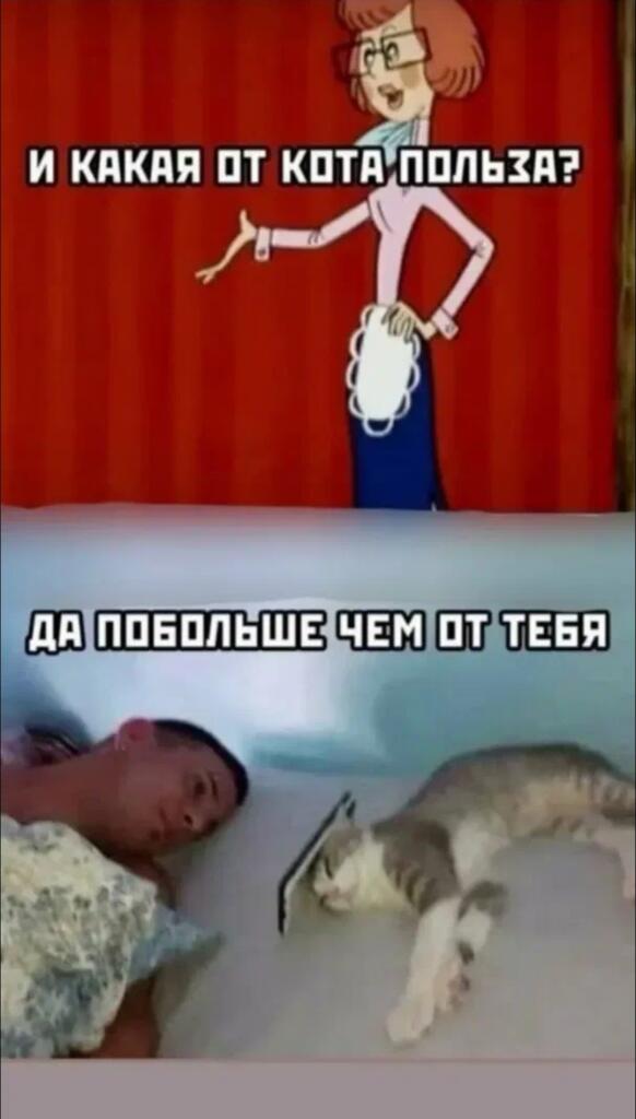 Мем от Усталый мыш
