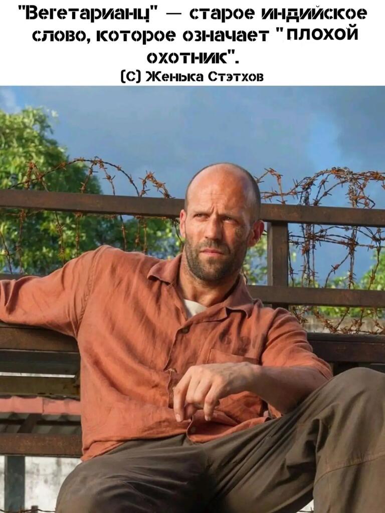 Джессика Честейн в роли Фьореллы в фильме «Варкрафт» сидит на лавке с колючей проволокой на фоне. Вверху надпись: Вегетарианцы — старое индийское слово, которое означает плохой охотник.