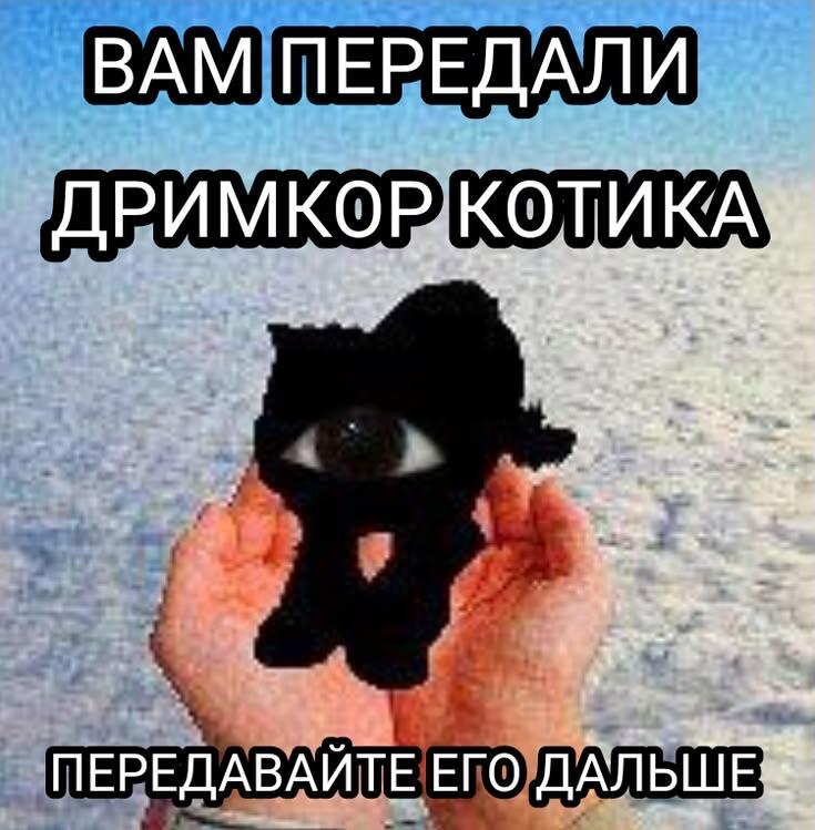Передайте дримкорыша