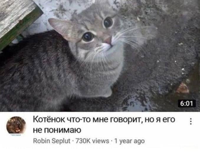 Взрослые, когда с ними общается ребёнок