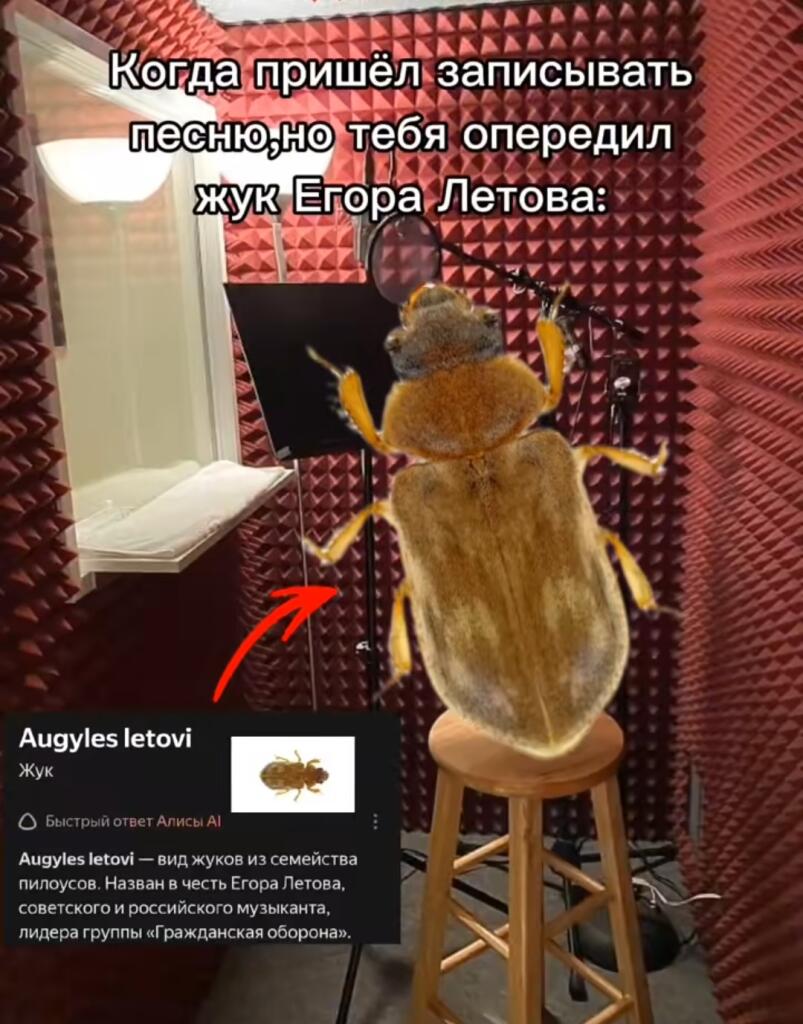 Мем от 🎶FLYTDAN🎶
