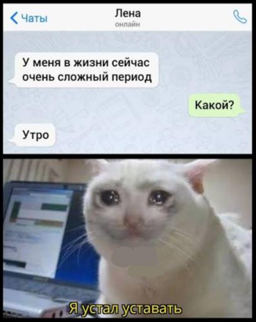 Мем без подписи