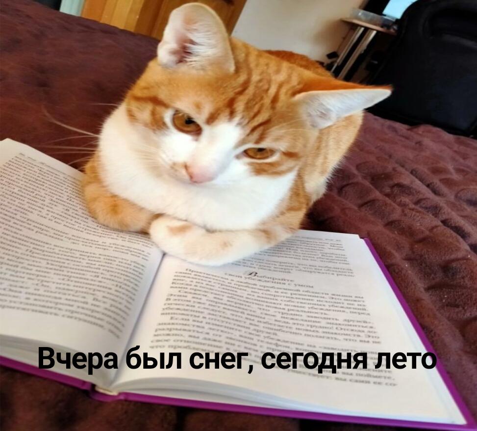 Погода этой весной
