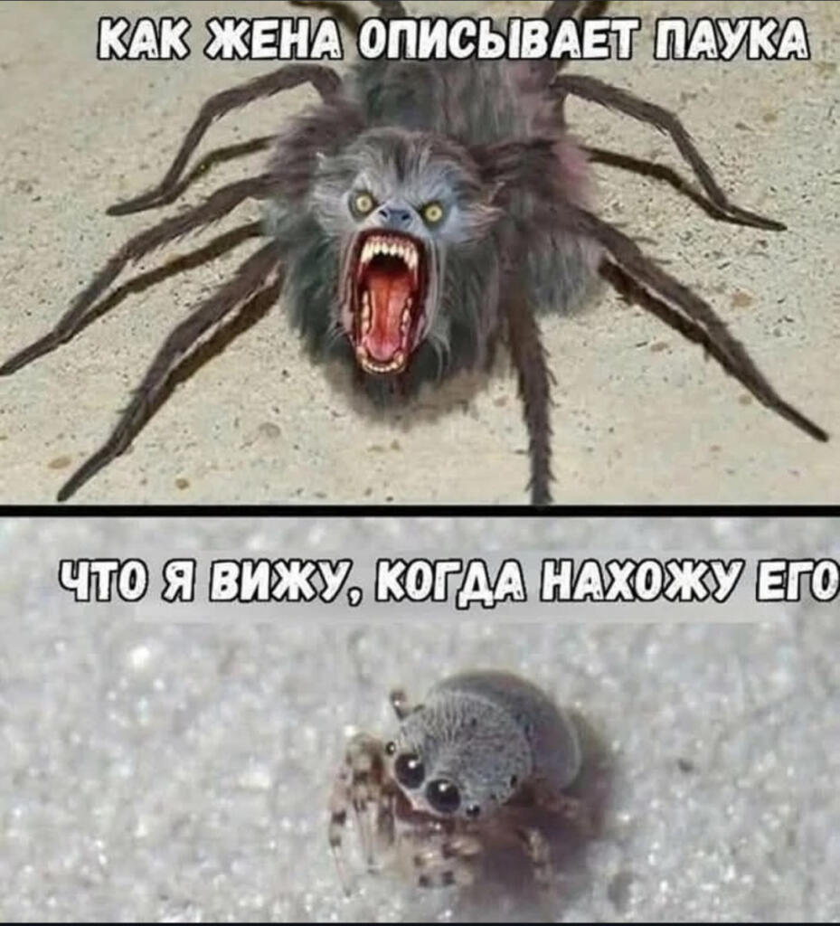Мем без подписи