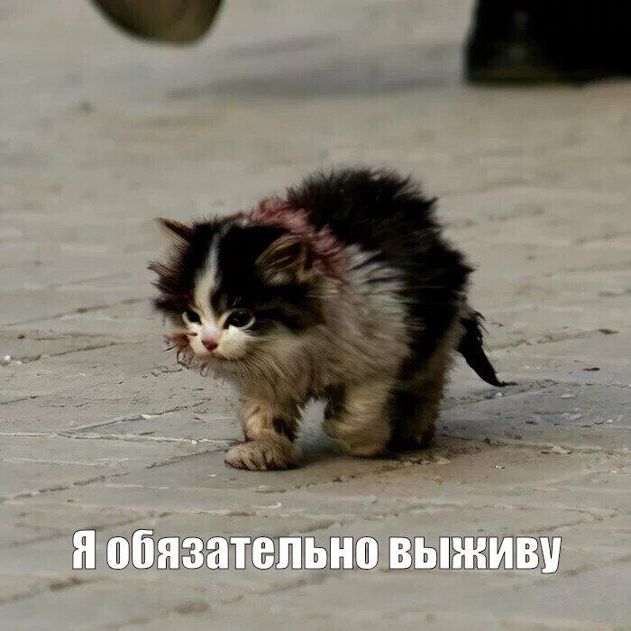 Помни, что если ты чувствуешь себя старым, то когда ты вправду станешь старым, у тебя не будет времени думать, потому-чт